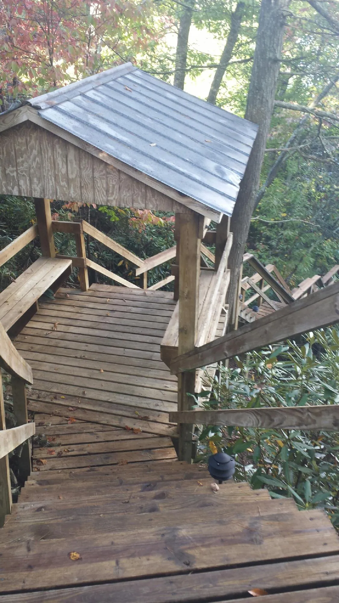 Metal roofed shelter over wooden steps on a wooded walkway — Skylight Repair & Installation work by our crew in Frazee
