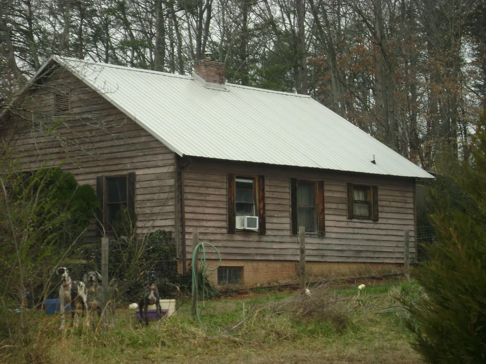 White metal roof on an old wood sided farmhouse, from a Asphalt Shingle Roof Repair job in Frazee